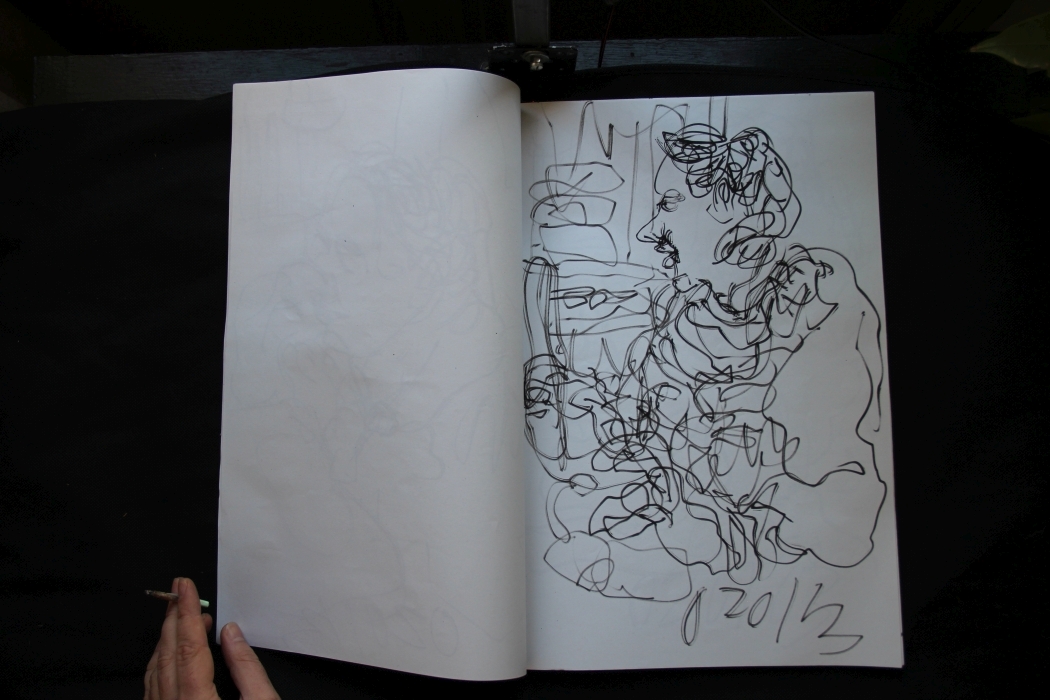 carnet_01_01_2013_2