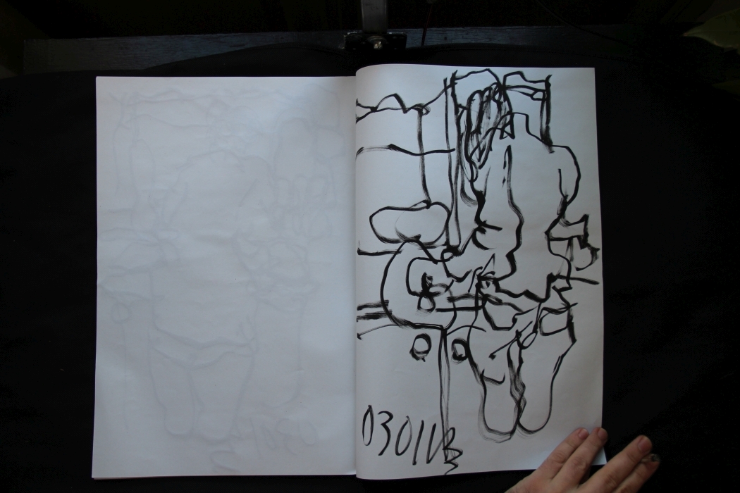 carnet_01_01_2013_2