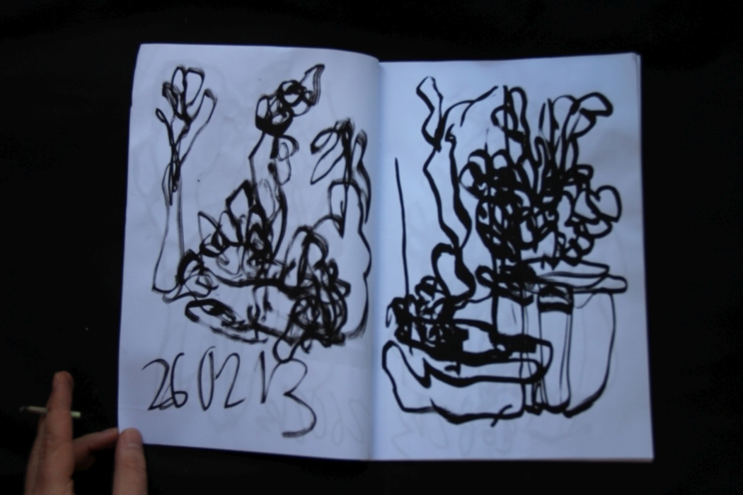 carnet_26_02_2013